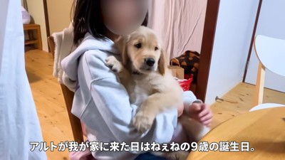 素敵な名前をプレゼント