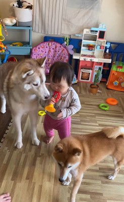 ロッキーくんと赤ちゃんの音楽会5