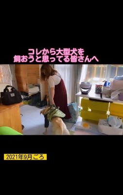 飼い主さんからのメッセージ