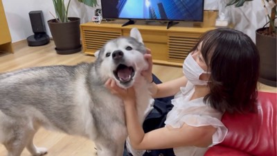 幸せそうな表情をする犬