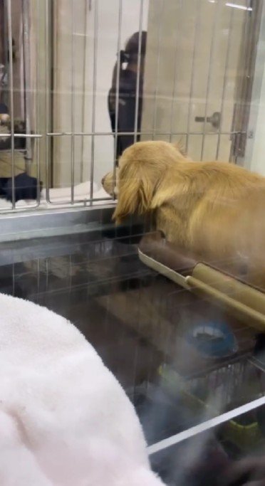 ペットショップに通い詰めた