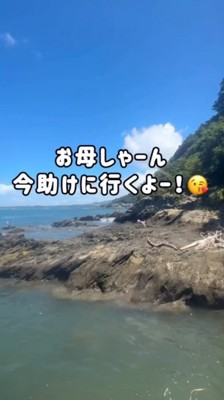 道なりに沿って女性の方へ歩いていく犬