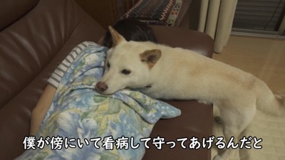 寄り添って看病中