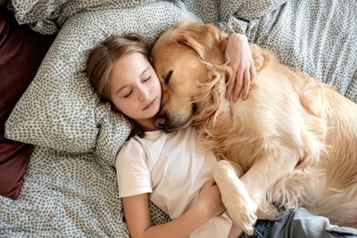 少女といっしょに寝る犬