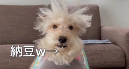 口元についてしまうことも