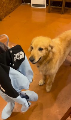 初めてカッパを着たライトくん