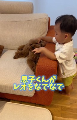 犬を撫でる男の子