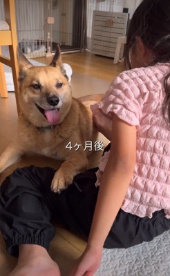 無理矢理触ったりしないよ