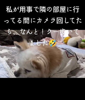 一旦ひとやすみ