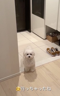 「ひとごとだなぁ」