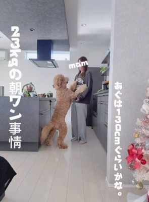 ママに抱っこをおねだり