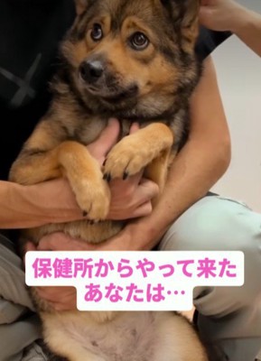 とにかく怯えるあんちゃん