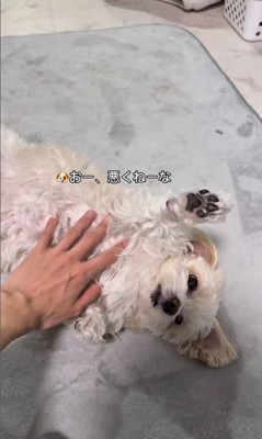 そあまるちゃんにキスしようとした時の反応4