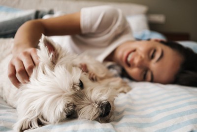 白い犬と女性