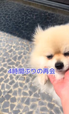 ますお君の熱烈歓迎⑩