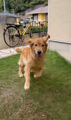 元気いっぱいのララちゃん