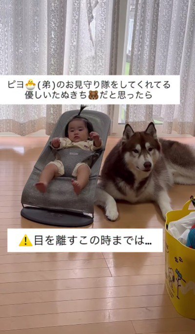 子守りは君に任せた!!