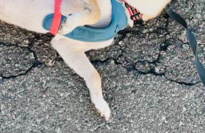 通りすがりの人と会話中…