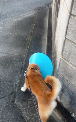 コーナーにゴッツン！