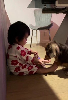 犬用のお菓子！！