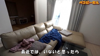 ペコちゃんの賢い行動2