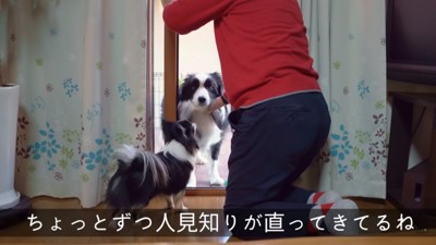 ジィジになでられるまろちゃん