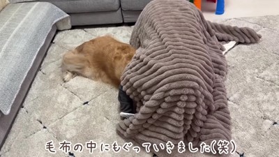 食べられちゃった！？