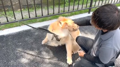 触ると怒るアトムくん