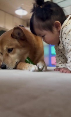 福ちゃんとも変わらず仲良し