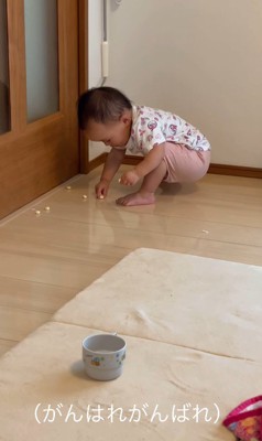 一生懸命拾う赤ちゃん