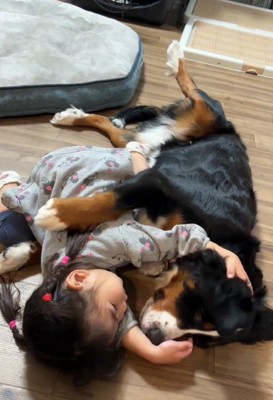 ベルちゃんの耳を触る娘さん