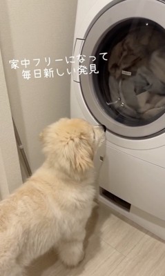 右回転になった