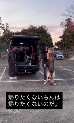 直前でブレーキ!!