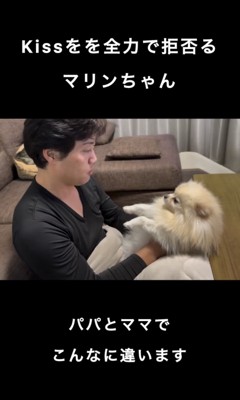 見つめあう犬と人