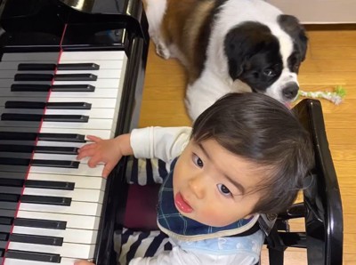 カイザーくんとの思い出6