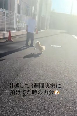 1回転するサニーくん