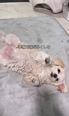 そあまるちゃんにキスしようとした時の反応3