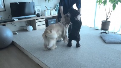熱烈大歓迎♪