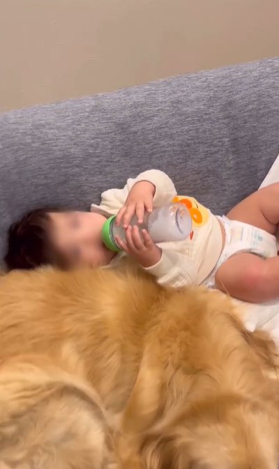 ミルクを飲む赤ちゃん