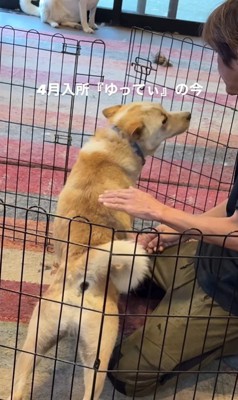 ゆってぃ君の変化8