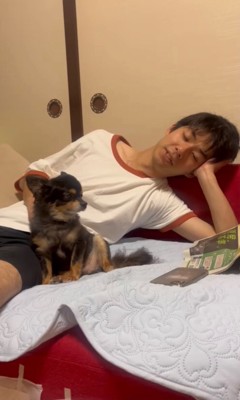 飼い主さんとくつろぐくたくん