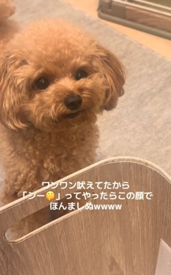 元の表情に戻る