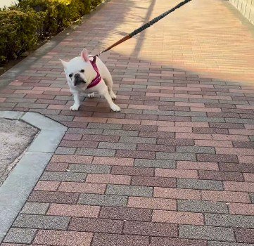 「ちょ、ちょっと待って」