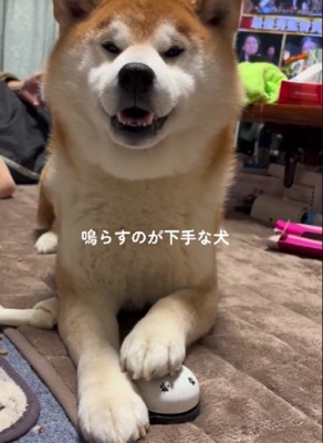 そんな姿が愛おしい♡