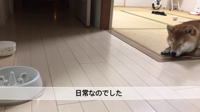 可愛いおねだりにホッコリ