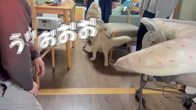 警戒モードに！