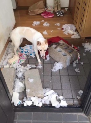 イタズラをして試すことも