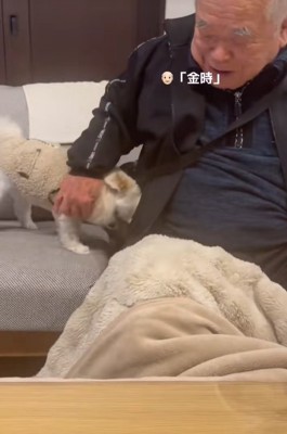 吠える犬を止めるおじいちゃん
