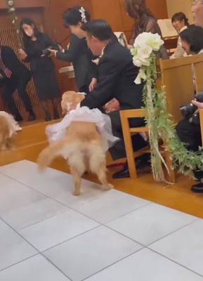 「パパここにいたの！！」