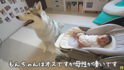 母性あふれるもんちゃん